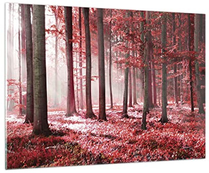 ARTTOR Glasbild 100x70cm Wandbild Glasdruck Landschaften Wald - 4944 | Bäume Rot Groß Modern Dekoration Wohnzimmer Schlafzimmer Küche Wanddeko Kunstdruck Art Wall Decor ARTTOR