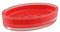 Seifenschale Graz rot