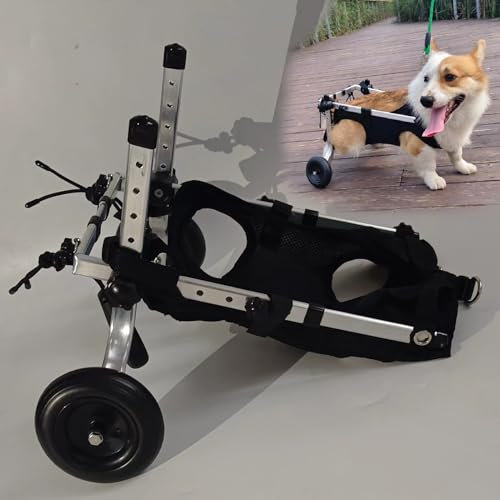 UrbanUp Hunderollstuhl Leichter, Verstellbarer Haustierwagen, Gehhilfe für Kleine und Mittelgroße Hunde für Corgis, Französische Bulldoggen, Rollstuhl für Behinderte/Verletzte Katzen(Size M)