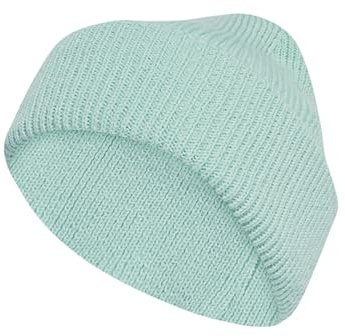 adidas Unisex Terrex Multi Beanie, Semi Flash Aqua, XL
