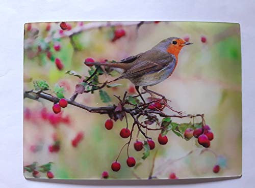 3 D Ansichtskarte Rotkehlchen, Postkarte Wackelkarte Hologrammkarte Vogel Vögel Gartenvogel