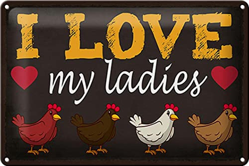 FEMER Blechschild Spruch 30x20cm Hühner i Love My Ladies