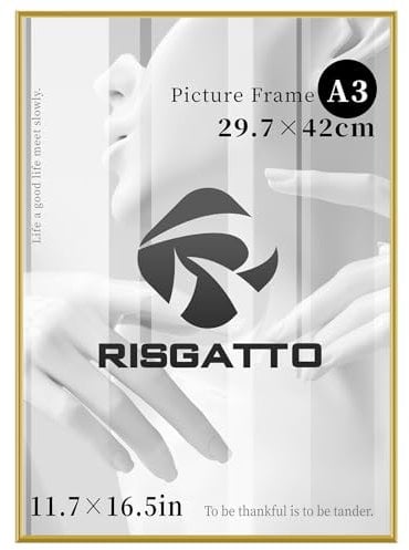 Risgatto Bilderrahmen DIN A3 (30x42 cm) aus Aluminium mit Hochtransparentem Acrylglas, Moderner Fotorahmen aus Metall für Poster, Zertifikate und Wanddeko – Gold
