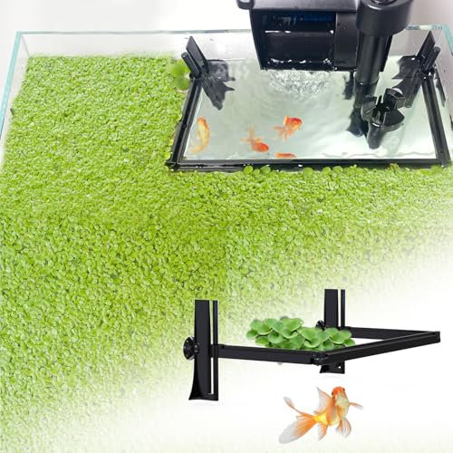 Aquarium Floating Plant Barrier, Floating Plant Corral Self Adjusts to Water Level Fish Tank Fence Keeps The Floaters Away from The Filter