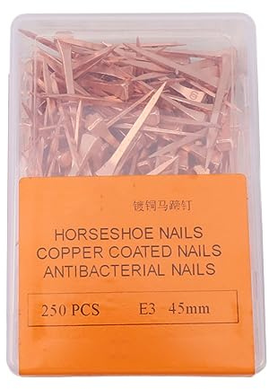 Haofy 250Pcs Copper Plated Horseshoe Nails with Plastic Storage Box for Easy Handling, Suitable for Equestrian Supplies (45mm E3)