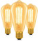 ST64 Vintage Light Bulbs E27 Edison Light Bulbs, Amber Warm White 2700K Dimmable, AC 220-240V, 600LM, ES Edison Screw Cap, Squirrel Cage Shaped Retro Filament Bulb, 3 Pack