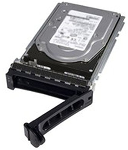 MicroStorage 3.5 SAS HOTSWAP 146 GB 15000rpm – Festplatte (146 GB, 88.9 mm (3.5), 15000 RPM)