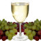 Ensemble de 6 verres à vin en plastique polycarbonate réutilisables incassables (jusqu'à 270 ml), parfaits pour la maison, à l'intérieur et à l'extérieur, pour le camping, les barbecues, les fêtes et les pique-niques par AIOS