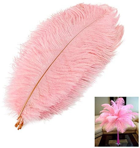 Mwoot 10 Stück Natürliche Straußenfedern, Strauß Feder Plume für Hochzeit Party Fest Tisch Herzstück Dekoration (Rosa, 25-30cm)
