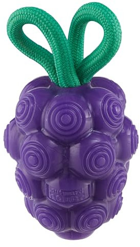 Outward Hound by Planet Dog Dental Grapes Zahnkauspielzeug und interaktives Leckerlifüller, langlebiges Hundespielzeug, gefülltes Hundespielzeug, Größe M, Violett