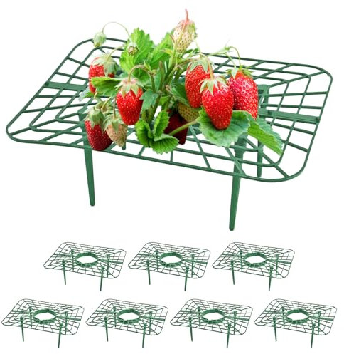 XCRPRT 8 piezas de protección contra la putrefacción y el moho, soporte para fresas para accesorios de jardín, rejilla de fresa (verde)