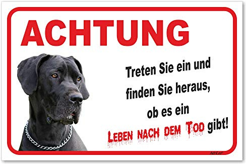AdriLeo Schild - Vorsicht Deutsche Dogge - Leben nach dem Tod - (20x30cm) / Graues Fell Achtung Hund Wachhund deutscher Hund robust langlebig UV-beständig wetterfestes Warnschild