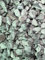 10 x Gravel and Shingle Trade Pack 20mm 25kg Bag Used for driveways, Borders, Bedding Drainage Pipes and Paths as Well as a Number of Landscaping tasks.