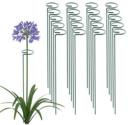 Thealyn Lot de 20 piquets de support pour plantes de 61 cm à tige unique pour fleurs, orchidées, tomates, pivoine, lys rose, glaïeul (61 cm)