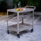 casa.pro Carro de Servicio Bard para Jardín Carrito Auxiliar con 4 Ruedas y 5 Ganchos Uso Exterior Interior Carro de Barbacoa de 2 Niveles Patio Piscina Terraza Acero 72 x 77 x 38 cm - Color champán