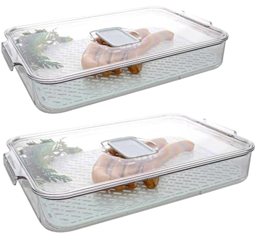 SUSTANIA Kühlschrankbox 2er Set, stapelbare Frischhaltebox mit Abtropfgitter, 33x21,5x5,5 cm, transparente Aufbewahrungsbox aus Kunststoff für Lebensmittel, luftdichter Deckel