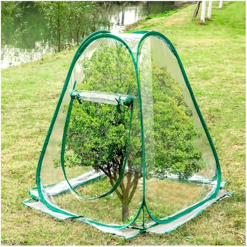 Mini Serra Pop Up 70x70x80 cm Serre da Balcone in PVC Trasparente Piccola Tenda per Svernamento Protezione Invernale Piante per Giardino, Patio, Esterno, Ortaggi, Fiori