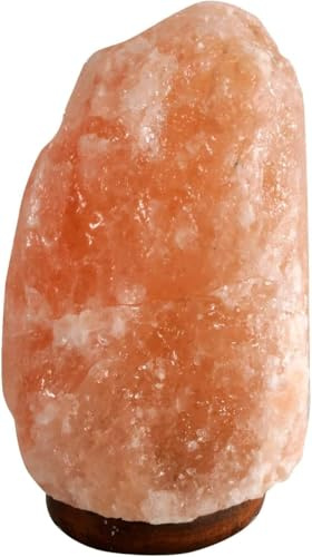 SudoreWell Salzkristall Lampe rosa Salzlampe Natur 4-6 kg aus der Salt Range Pakistan