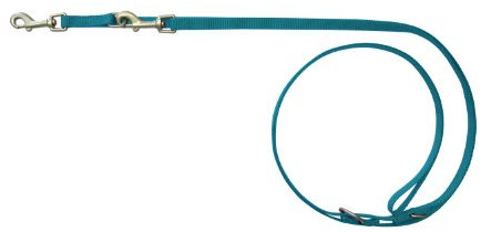 Wolters Cat&Dog Professional 25153 Führleine Standard Gr.S 200cm x 10mm aqua