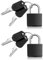 2 Stück Gepäckschlösser Koffer Vorhängeschlösser Kofferschlösser mit Schlüssel Mini Messing Vorhängeschloss Set für Reisen Fitnessstudio Schließfächer Taschen Urlaub Koffer (schwarz)