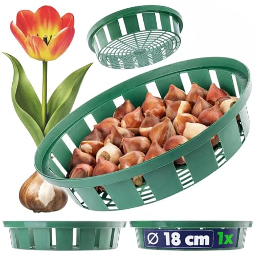 KADAX Pflanzkorb Ø 18 cm für Blumenzwiebeln, Pflanzenschale aus Kunststoff, Wühlmausschutz für Tulpen, Narzissen und andere Zwiebelpflanzen, Anzuchtschale