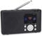 Reflexion TRA23I/GR, Tragbares Internet- Radio mit Internet- UKW- DAB-/DAB+ Radio (16 Watt) Farbdisplayanzeige, Netz- und Batteriebetrieb, 99 Senderspeicherplätze, Schwarz