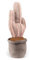 Cactus Decorative Polyester Door Stopper[weigh:1.8lb],FALIDI Home and Office Decoration Book Stopper-Pink，13.7 x 5.8 x 4.7”