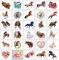 30 Stk * Pferde * Tattoos zum aufkleben 60 * 69 mm als Mitgebsel Sticker Temporäre Tattoo Geburtstag Geschenke für Jungen Mädchen Frauen Männer
