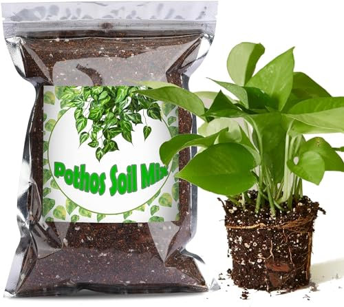 Organic Pothos Soil Mix 1L, Indoor Plants Potting Mix for All Potted Pothos, Grow Healthy houseplants Indoors