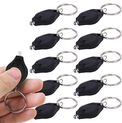 LEPEVNEY Keyring Torch Mini UV LED Keychain Flashlight Money Detector Compact & Portable Key Ring Light, 10 PCS Black