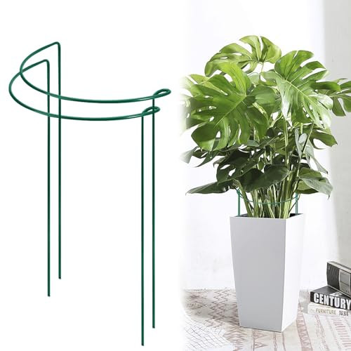 2 Stück Pflanzenstütze Staudenhalter,Pflanzenstützen Halbrund Pflanzenstütze Ringkäfige Pflanzenhalter,Rankhilfe Zimmerpflanzen,Garten Blumenstütze für Topfpflanzen,Gemüse (20 * 35cm)