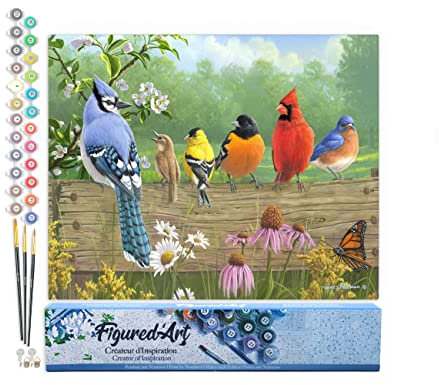 Figured'Art Malen Nach Zahlen Erwachsene Vögel am Zaun - Paint by Numbers Basteln DIY Bastelset 40x50cm ohne Holzrahmen