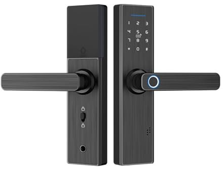 Serratura intelligente, Serratura biometrica for impronte digitali Tuya, serratura intelligente di sicurezza con app WiFi, sblocco RFID tramite password, serratura elettronica for hotel