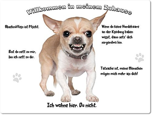 Merchandise for Fans Blechschild/Warnschild/Türschild - Aluminium - 15x20cm - - Willkommen in Meinem Zuhause - Motiv: Chihuahua fletscht die Zähne 15x20cm - 02