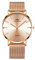 rorios Einfach Damen Uhr Analog Quarz Armbanduhr Minimalistisch Uhren für Frauen Damen Edelstahl Roségold Mesh Band Ultradünne Damenuhr