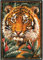 Latch Hook Rug Kits, Home Carpet Rug Making Canvas Kits, DIY Crochet Kits Embroidery Kits Needlework Crafts for Home Decor, Latch Hook Kits for Beginners Kids Adults, 60 X 40 cm, Tiger