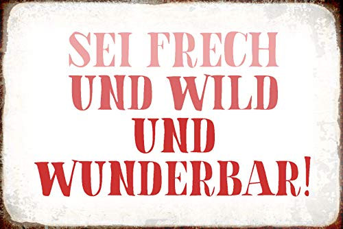 Ontrada Blechschild 12x18cm gewölbt Sei frech und wild und wunderbar Spruch Sprüche Schild