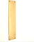 Victorian Finger Plate Solid Polished Brass 305mm x 70mm Raised/Cast