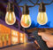 Maihaha 32m Dimmable Festoon Lights Outdoor with Remote, 30x1w Led Bulbs IP65 Waterproof Garden Lights Mains Powered for Backyard, Fence, Pergola, Gazebo, (Low Voltage, 2200k)