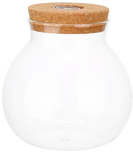 COHEALI LED Glasflasche mit Weißem LED Deckel für Selbstgemacht Mikrolandschaften und Ökologische Raumdekoration aus Glas