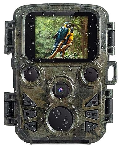 YFDGD Telecamera Fauna Selvatica Trappola fotografica Termocamera for caccia Scout Mini telecamera Visione notturna for fotocamera da Wildcats con LCD(H805)