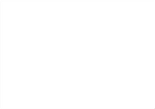 RNKVERLAG 114760 - Karteikarten blanko weiß, DIN A6, 1 Packung à 100 Karten