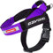 EZYDOG Express Hundegeschirr | Hundegeschirr für kleine, mittelgroße und große Hunde, abgewinkeltes, ergonomisches Design, geformter Griff, leicht zu lösende Seitenschnalle (L, Lila)
