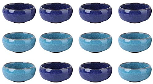 Cabilock Lot de 12 pots de fleurs surgelés Décoration de table de mariage Mini pot de fleurs décoratif Pot de fleurs succulentes pour le bureau Petits pots de plantes succulentes Support en céramique