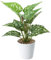 Duronge Planta Artificial, Pequeño Plantas Artificiales, Mini Plantas Falsas, Planta Artificial Decorativa, para Hogar Decoración Mesa de Despacho Baño