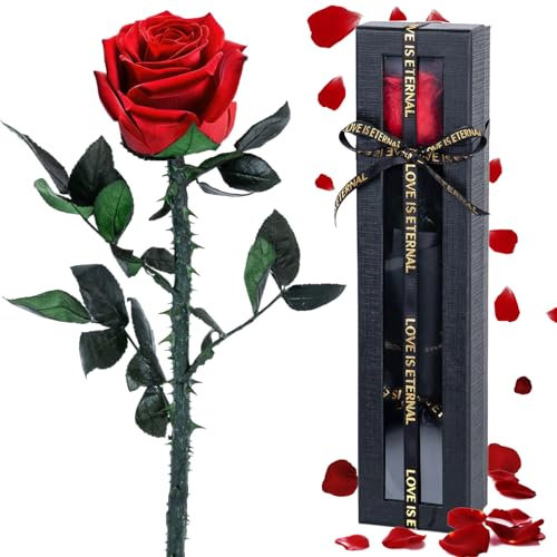 Zeihoo Vera Rosa Eterna Regalo, Rosa Eterna Regalo Mamma, per Anniversario, Rosa Rossa Stabilizzata, per Donne, Madri, Amiche, Fidanzata, Mogli Compleanno, Anniversario