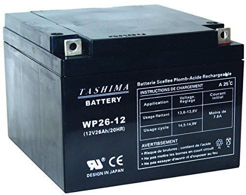 Greenstar 11782 Batterie 12 V 26 AH, Noir