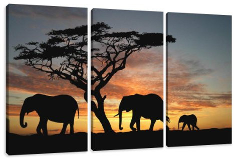 Visario Leinwandbilder 1066 Bild auf Leinwand Afrika, 160 x 90 cm, 3 Teile