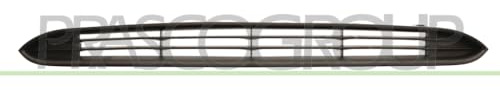 PRASCO Griglia radiatore FT3442001 | Compatibile con: ABARTH PUNTO, FIAT PUNTO EVO