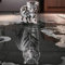 Yingxin34 Puzzle - Katze und Tiger - 2000 Teile Puzzle für Erwachsene und Kinder ab 14 Jahren, Puzzle-39.17x27.75 Zoll (99.5 x 70.5cm)